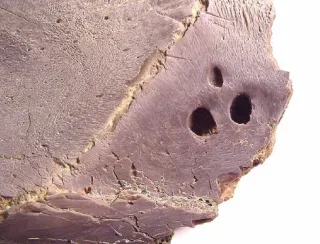 تاكسي الفضاء